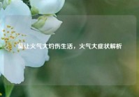莫让火气大灼伤生活，火气大症状解析