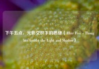 下午五点，光影交织下的思绪（After Five - Thoughts Amidst the Light and Shadow）