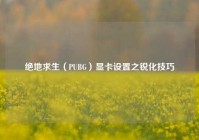 绝地求生（PUBG）显卡设置之锐化技巧