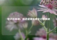 电子结肠镜，肠道健康检查全过程揭秘