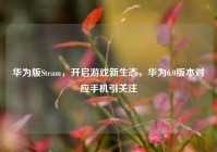华为版Steam，开启游戏新生态，华为6.0版本对应手机引关注