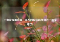 王者荣耀神回复，队友的脑回路绕峡谷三圈笑炸了！