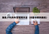 腹肌小奶狗导管视频大全（抖音小奶狗腹肌）