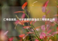 仁寿县医院，守护健康的堡垒及三甲资质之问