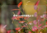 探寻CSGO中的随机之王