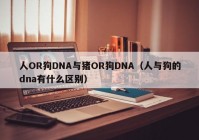 人OR狗DNA与猪OR狗DNA（人与狗的dna有什么区别）