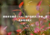 绝地求生端游（PUBG）用户名修改，步骤、注意事项及意义