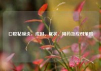 口腔粘膜炎，成因、症状、用药及应对策略