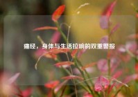 痛经，身体与生活拉响的双重警报