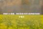 探秘PUBG维服，别样竞技天地与官网服务器维护情况