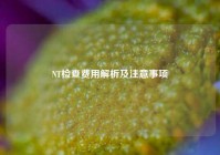 NT检查费用解析及注意事项