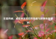 左旋肉碱，减脂神器背后的危害与肝肾恢复疑问