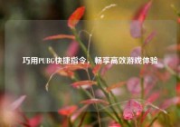 巧用PUBG快捷指令，畅享高效游戏体验