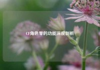 CF角色零的功能深度剖析
