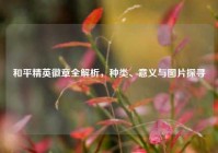 和平精英徽章全解析，种类、意义与图片探寻