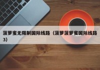 菠萝蜜无限制国际线路（菠萝菠萝蜜国际线路3）