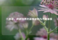 三杯茶，跨越国界的温情密码与力量源泉
