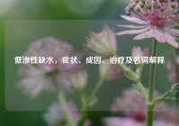 低渗性缺水，症状、成因、治疗及名词解释
