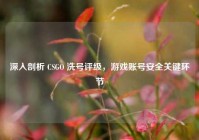 深入剖析 CSGO 洗号评级，游戏账号安全关键环节