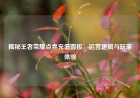 揭秘王者荣耀点券充值面板，运营逻辑与玩家体验
