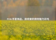 PUBG手套饰品，游戏里的独特魅力符号