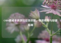 CSGO低成本高效捡垃圾攻略，物资收集与按键指南