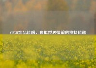 CSGO饰品转赠，虚拟世界情谊的独特传递