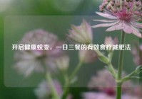 开启健康蜕变，一日三餐的有效食疗减肥法