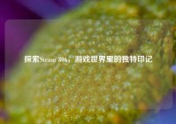 探索Steam 306，游戏世界里的独特印记