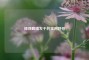 拯救眼睛发干的实用妙招