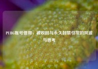 PUBG账号借用，被收回与永久封禁引发的风波与思考