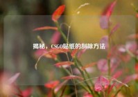 揭秘，CSGO贴纸的刮除     