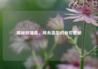 揭秘熊猫血，稀有血型的身世奥秘