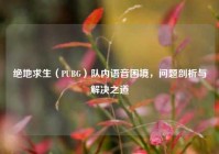 绝地求生（PUBG）队内语音困境，问题剖析与解决之道