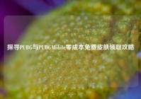 探寻PUBG与PUBGMobile零成本免费皮肤领取攻略