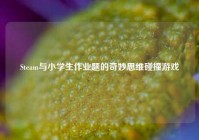 Steam与小学生作业题的奇妙思维碰撞游戏