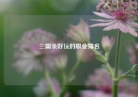三国杀好玩的职业排名