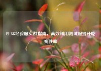 PUBG经验服实战指南，高效利用测试服提升吃鸡胜率