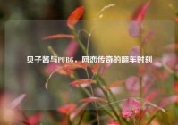 贝子酱与PUBG，网恋传奇的翻车时刻