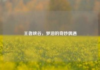 王者峡谷，梦泪的奇妙偶遇