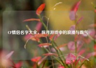 CF情侣名字大全，探寻游戏中的浪漫与霸气