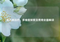 结石病治疗，多维度探索及费用全面解读