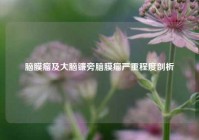 脑膜瘤及大脑镰旁脑膜瘤严重程度剖析