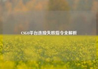 CSGO平台连接失败指令全解析