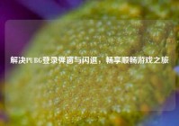解决PUBG登录弹窗与闪退，畅享顺畅游戏之旅