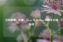 古剑奇谭，官服、Steam 与 WeGame 的数字江湖探寻