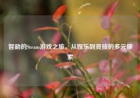 智勋的Steam游戏之旅，从娱乐到竞技的多元探索