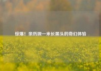 惊爆！亲历拔一米长黑头的奇幻体验