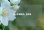 山林甜蜜精灵，苦糖果