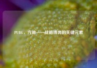 PUBG，汽油——战略博弈的关键元素